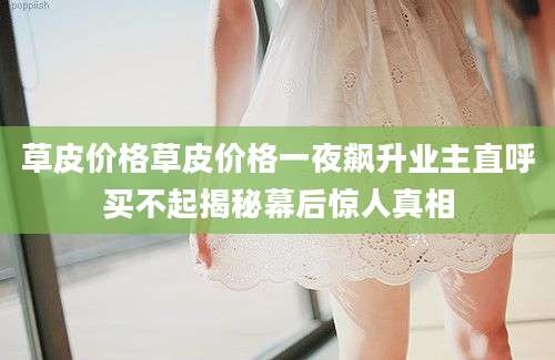 草皮价格草皮价格一夜飙升业主直呼买不起揭秘幕后惊人真相