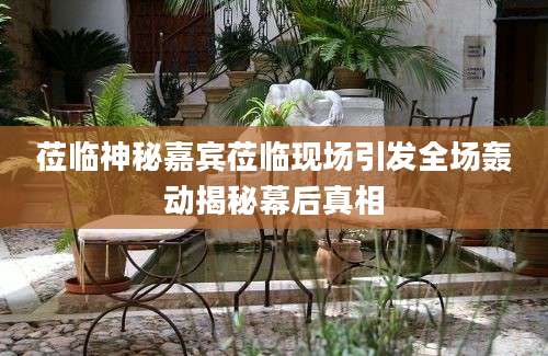 莅临神秘嘉宾莅临现场引发全场轰动揭秘幕后真相