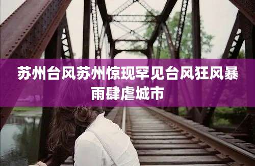 苏州台风苏州惊现罕见台风狂风暴雨肆虐城市