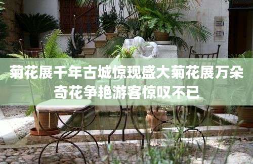 菊花展千年古城惊现盛大菊花展万朵奇花争艳游客惊叹不已