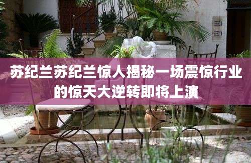 苏纪兰苏纪兰惊人揭秘一场震惊行业的惊天大逆转即将上演