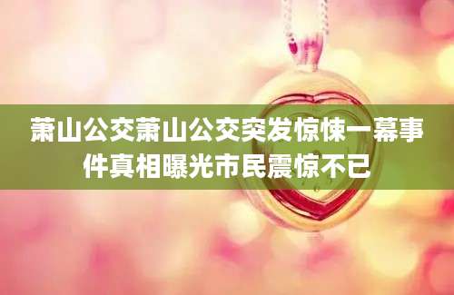 萧山公交萧山公交突发惊悚一幕事件真相曝光市民震惊不已