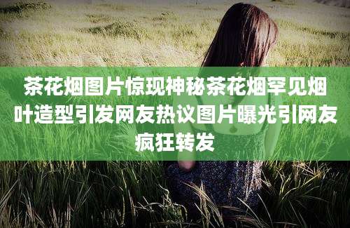 茶花烟图片惊现神秘茶花烟罕见烟叶造型引发网友热议图片曝光引网友疯狂转发