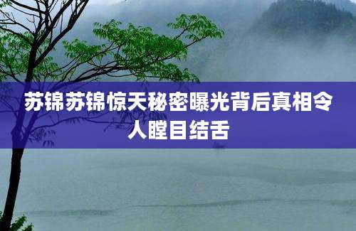 苏锦苏锦惊天秘密曝光背后真相令人瞠目结舌