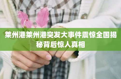 莱州港莱州港突发大事件震惊全国揭秘背后惊人真相
