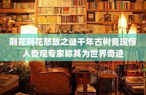 荆花荆花怒放之谜千年古树竟现惊人奇观专家称其为世界奇迹