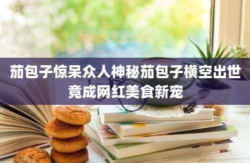 茄包子惊呆众人神秘茄包子横空出世竟成网红美食新宠