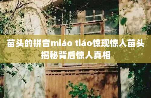 苗头的拼音miáo tiáo惊现惊人苗头揭秘背后惊人真相